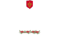 logo_baciu@2x